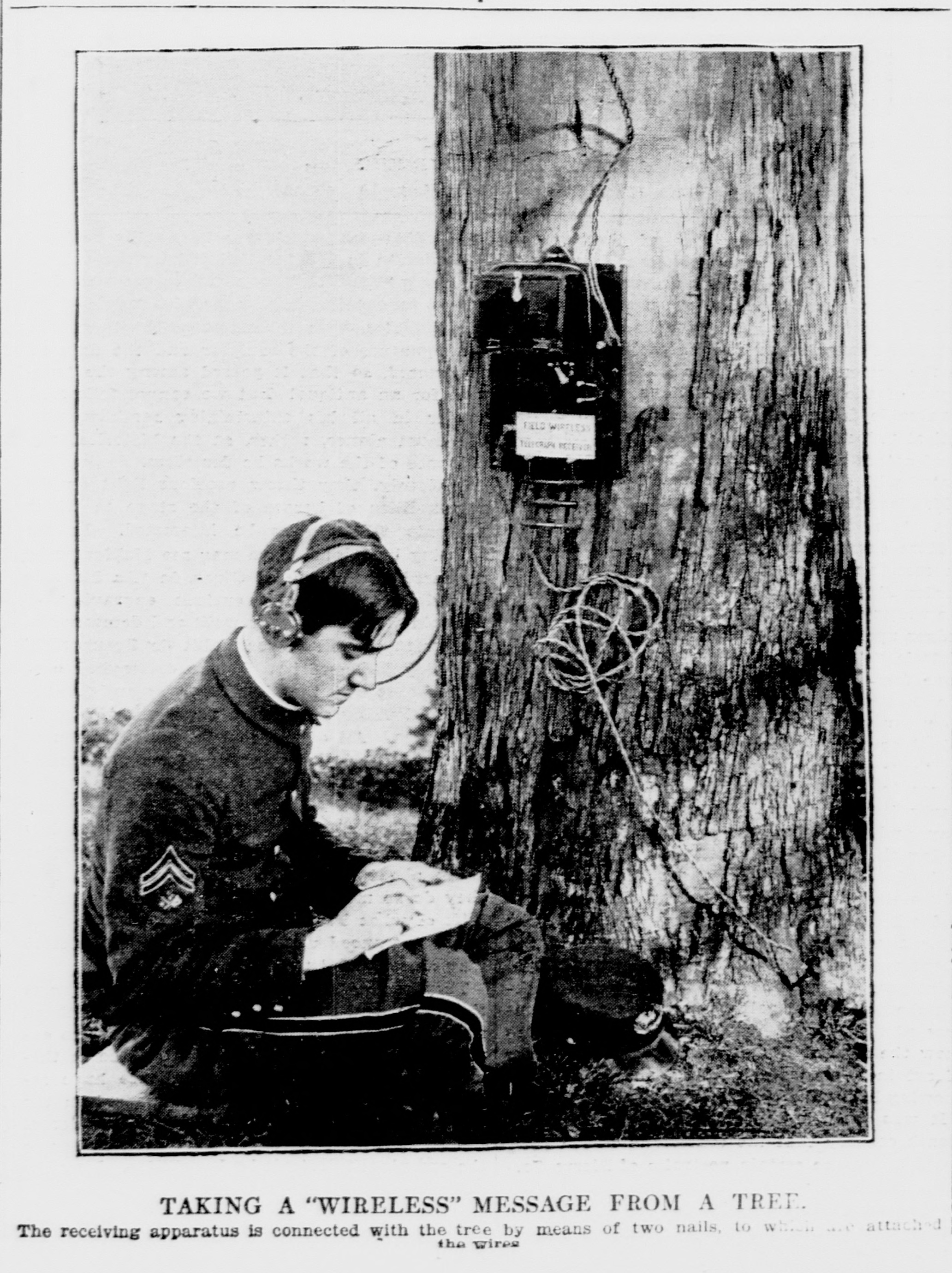 Archival photograph of a person operating a wireless device beside a tree, titled Tongues in Trees